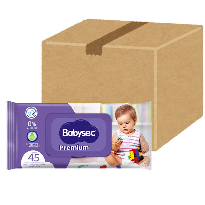 Caja Toallas Húmedas Babysec Con Tapa 45u x 10