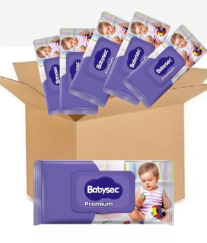 Caja De Toallitas Babysec Premium 12 Paquetes De 70 Unidades